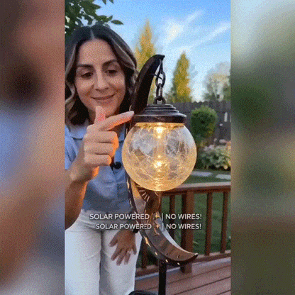 🌙✨Hummingbird Moon Solar Garden Stake Light