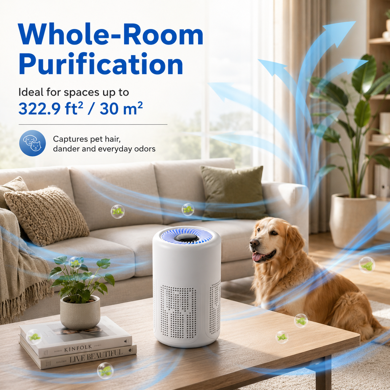 🌬️ 50% OFF! 🔥 Compact home air purifier – 2026 bestseller – Quiet, energy-efficient, and perfect for allergy sufferers, dust, and pet hair 🏠