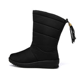 Women's Plush And Thickened Warm Snow Boots Exquisite Tassels